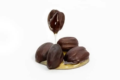 aceite-de-jojoba-beneficios-semillas