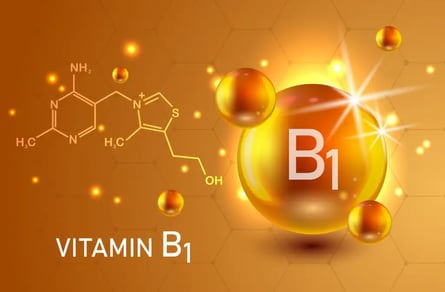 alimentos-que-contienen-vitamina-B1-nutricion-1024x672