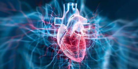 cardiovascular