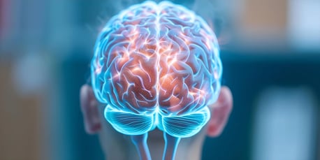 cerebro