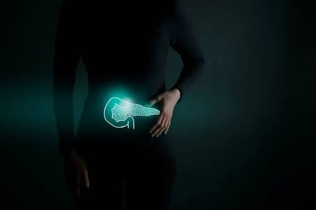 digestion-enzimatica-01