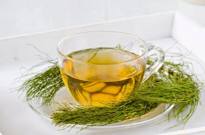 infusiones-cola-de-caballo-01