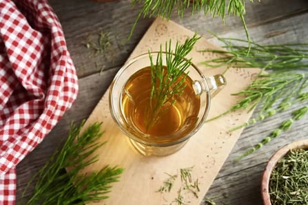 infusiones-cola-de-caballo-03
