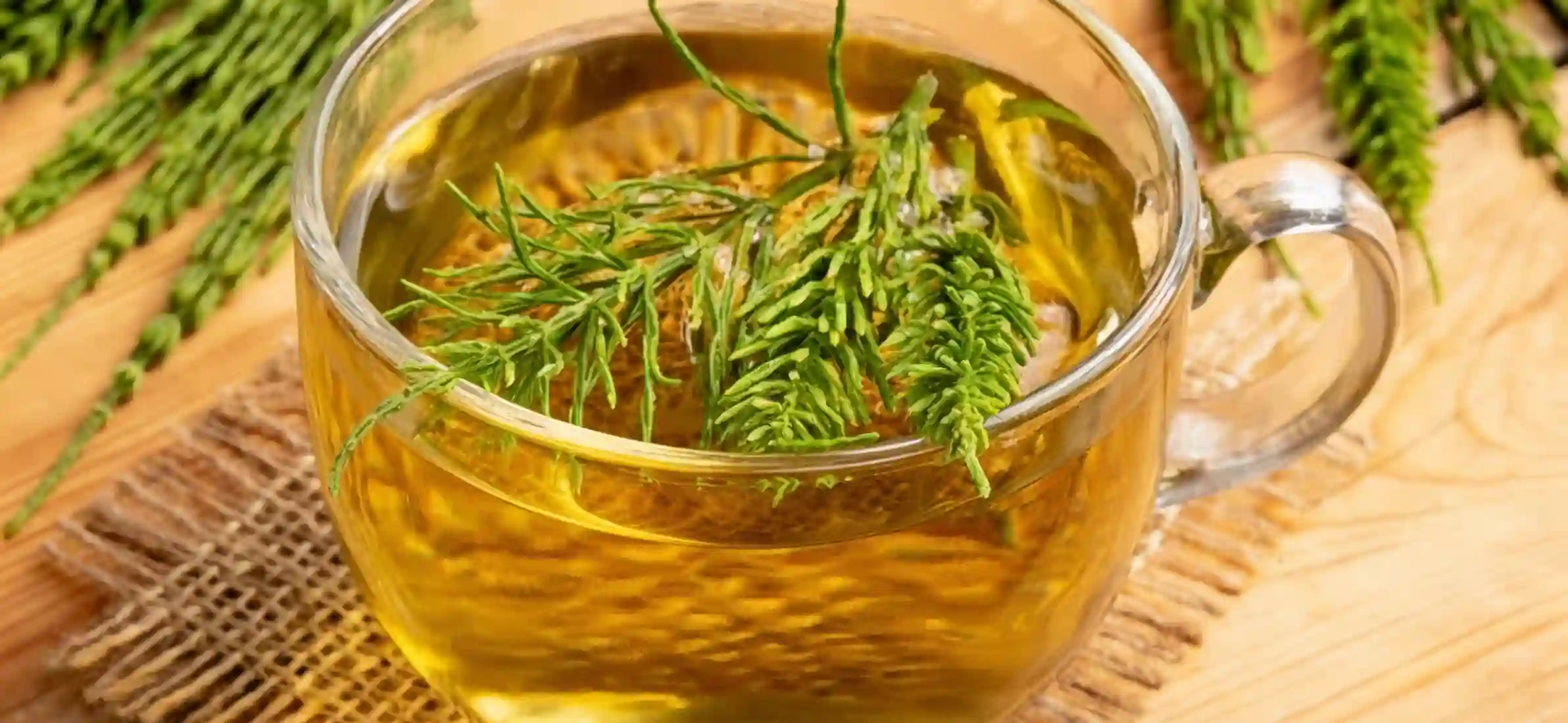 Infusión de cola de caballo: 10 beneficios y cuándo tomarla